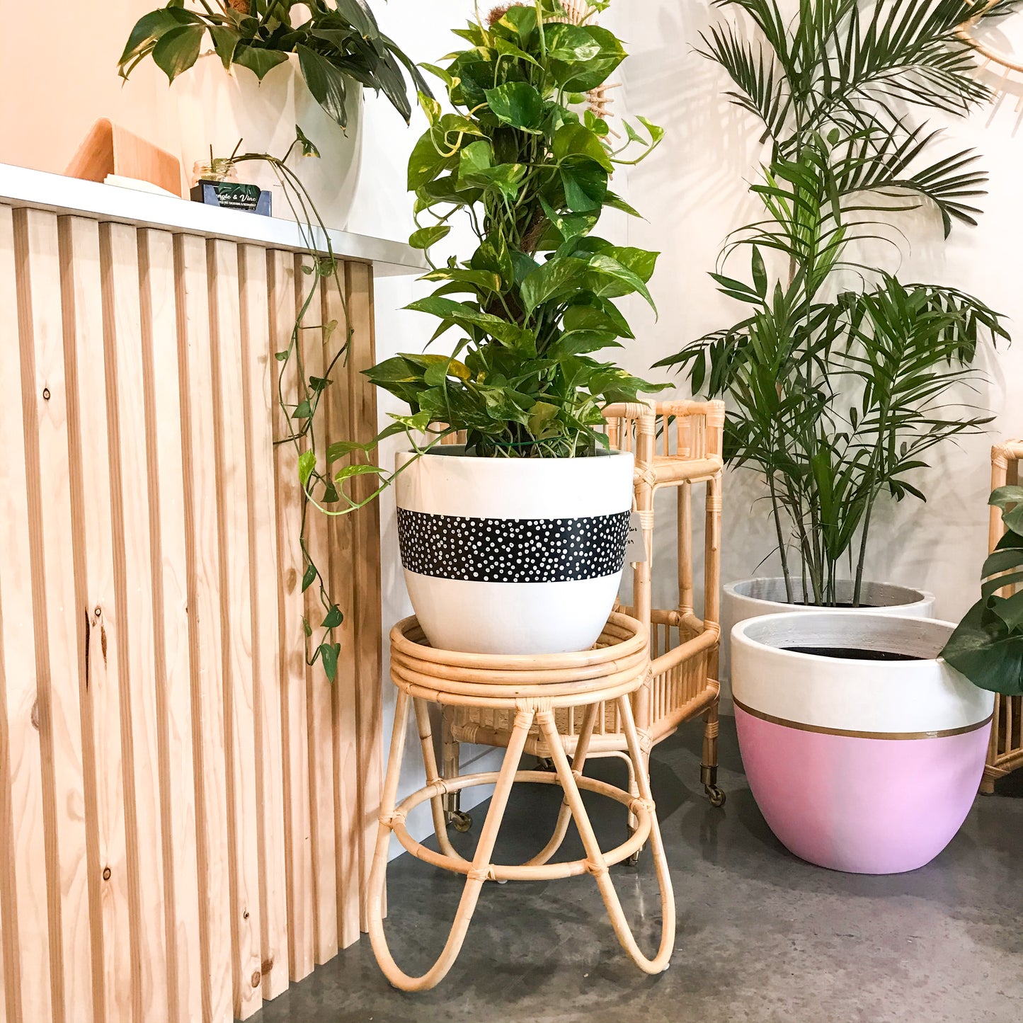 corner plant stand