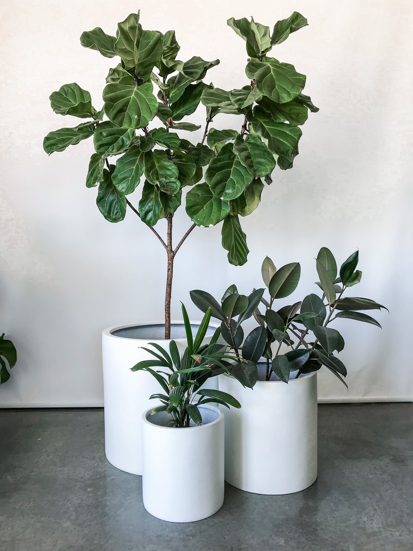 extra large lightweight outdoor pots, large plant pots for trees