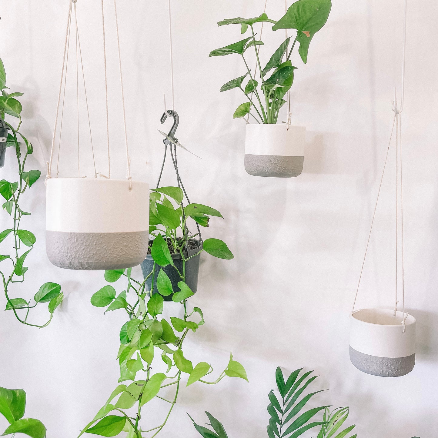 The Little Hanging Pot