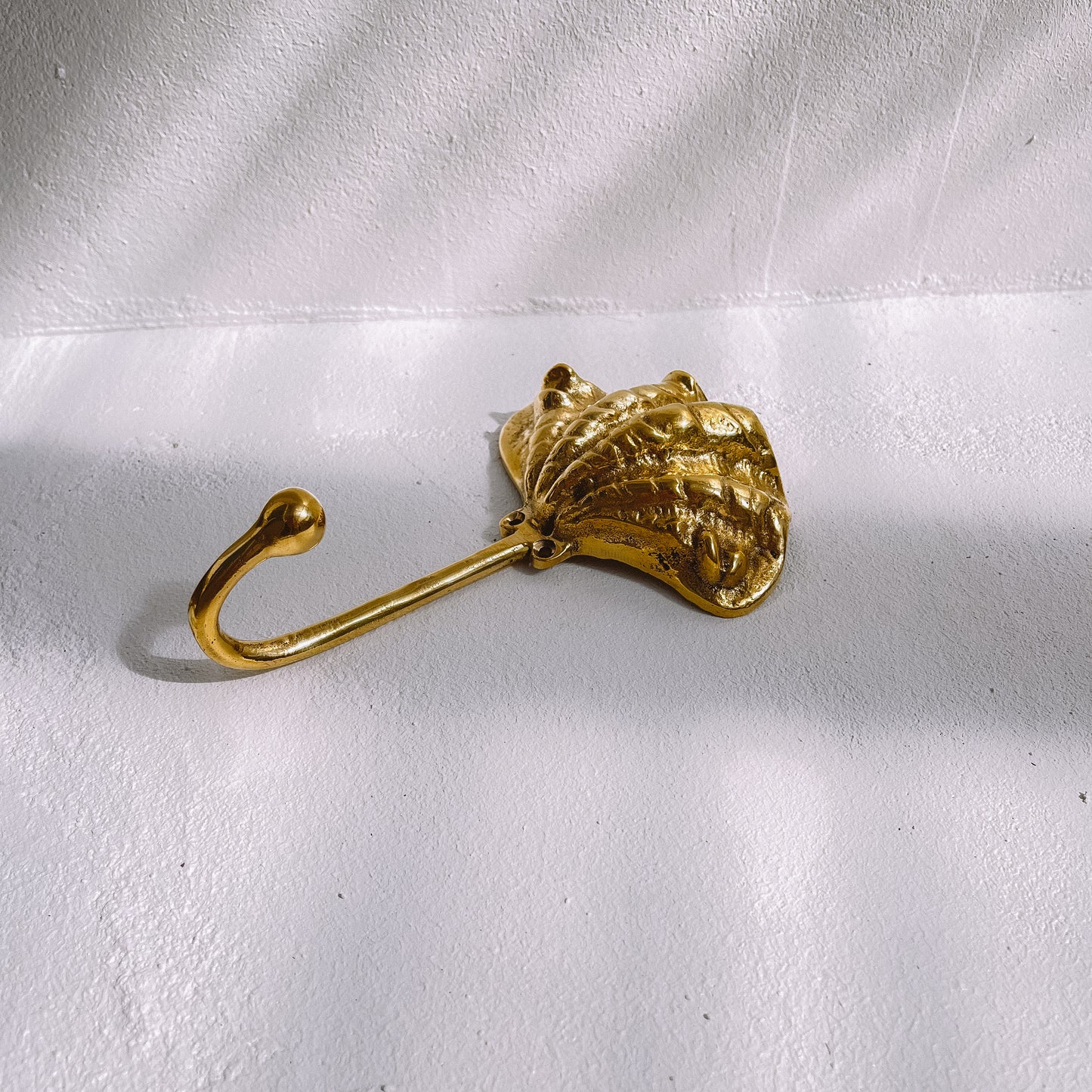 Brass shell wall hook