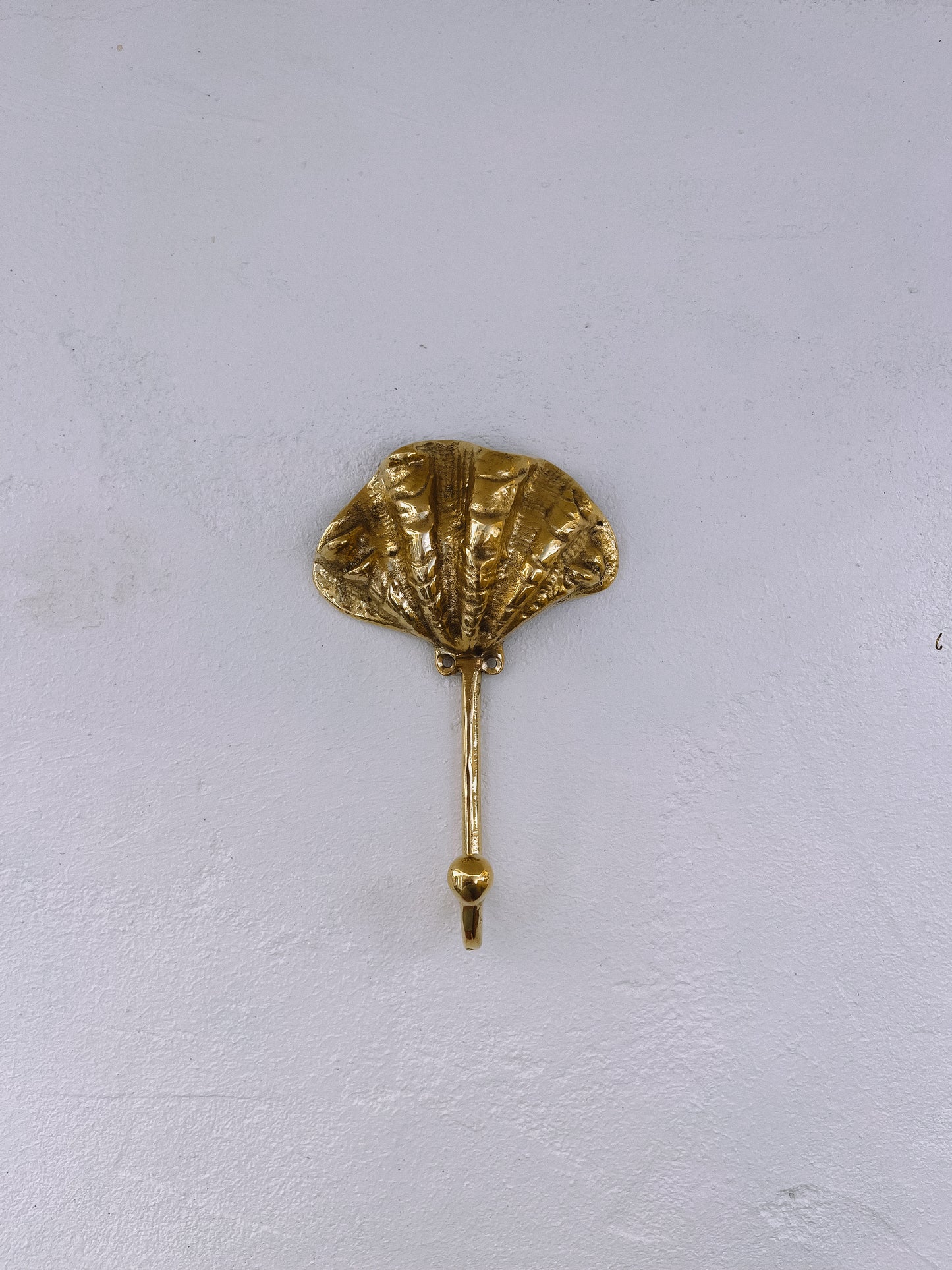 Brass shell wall hook