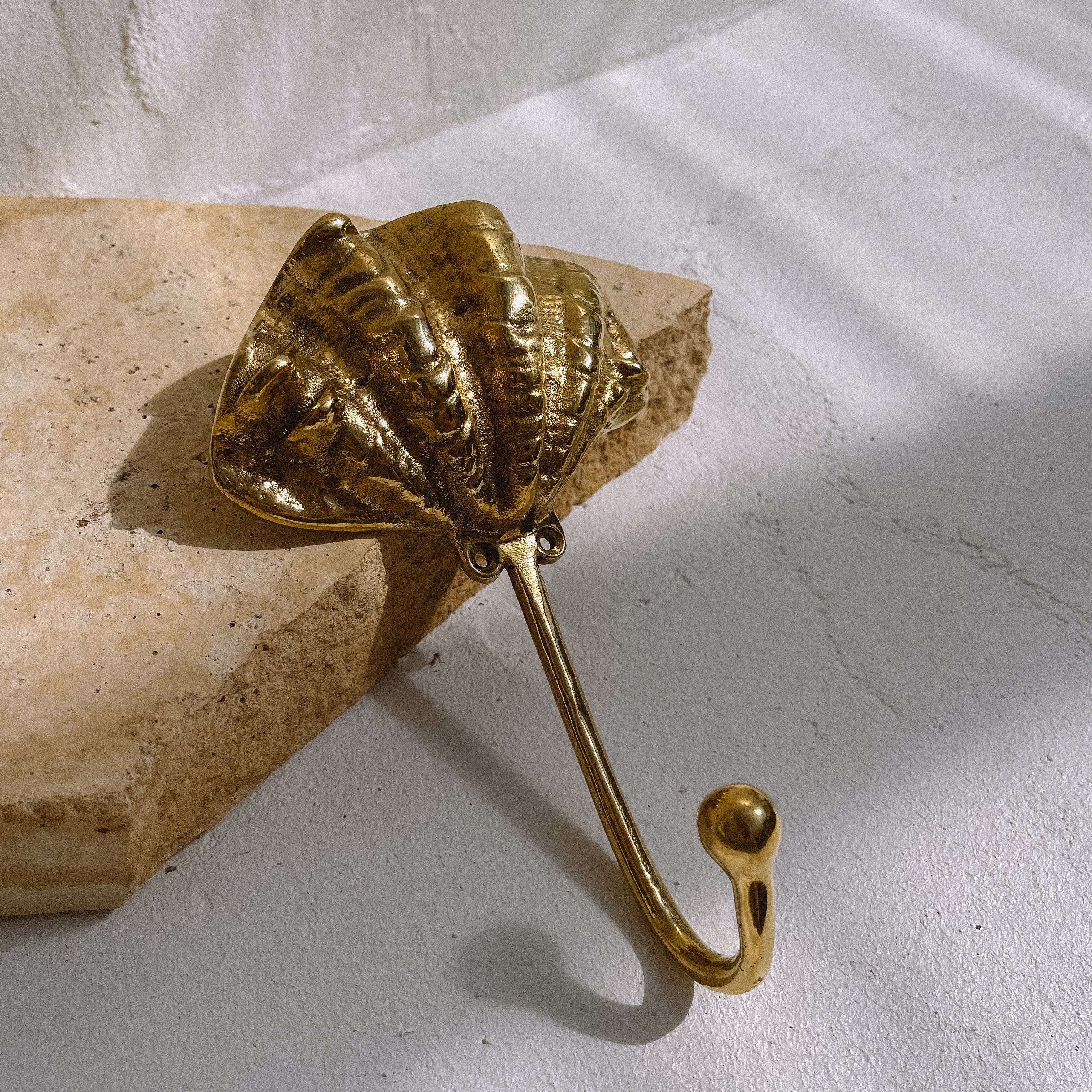 Brass Shell Wall Hook - Coastal Style | Casana Studio