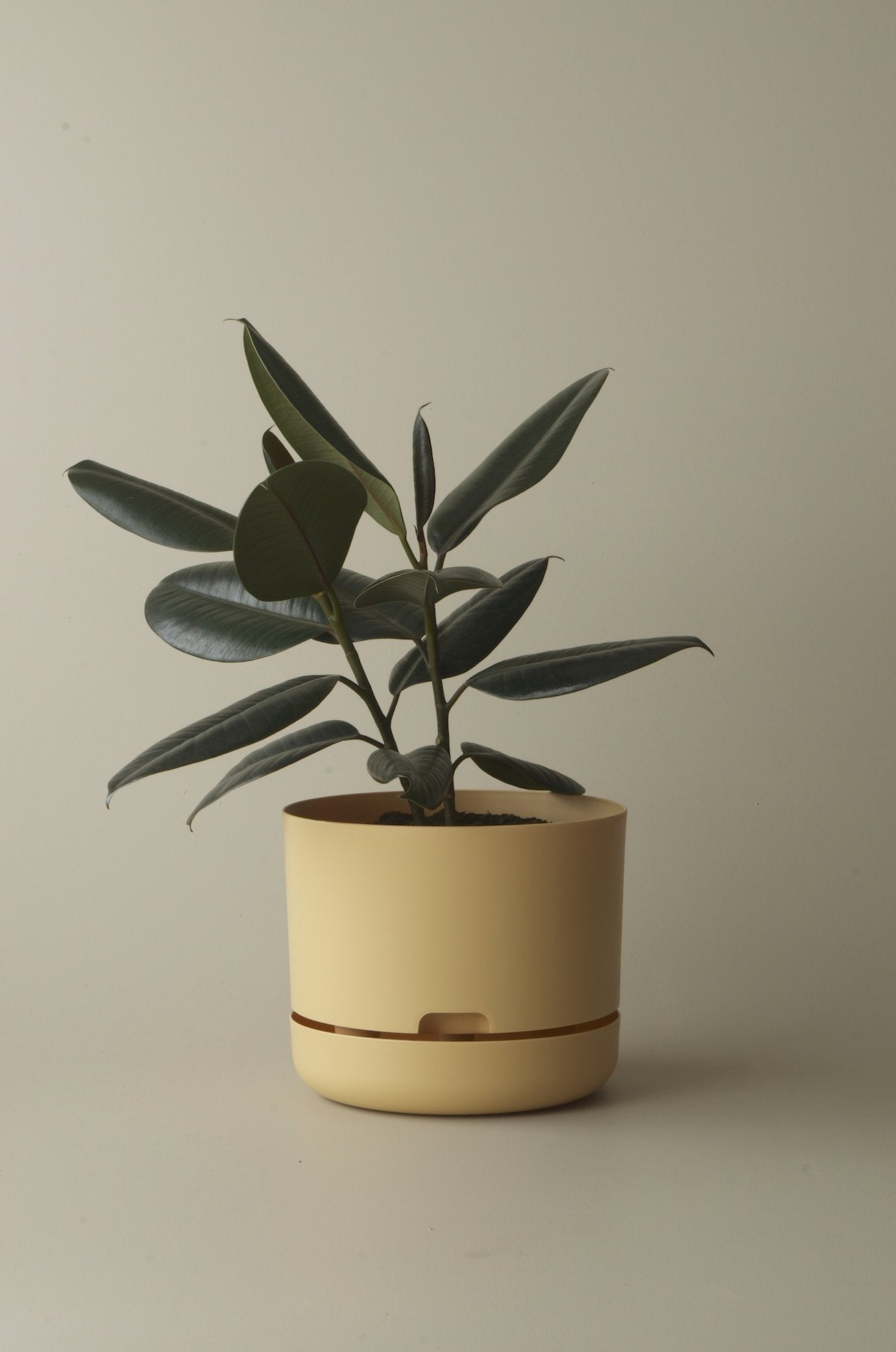 Selfwatering Plant Pot 250mm