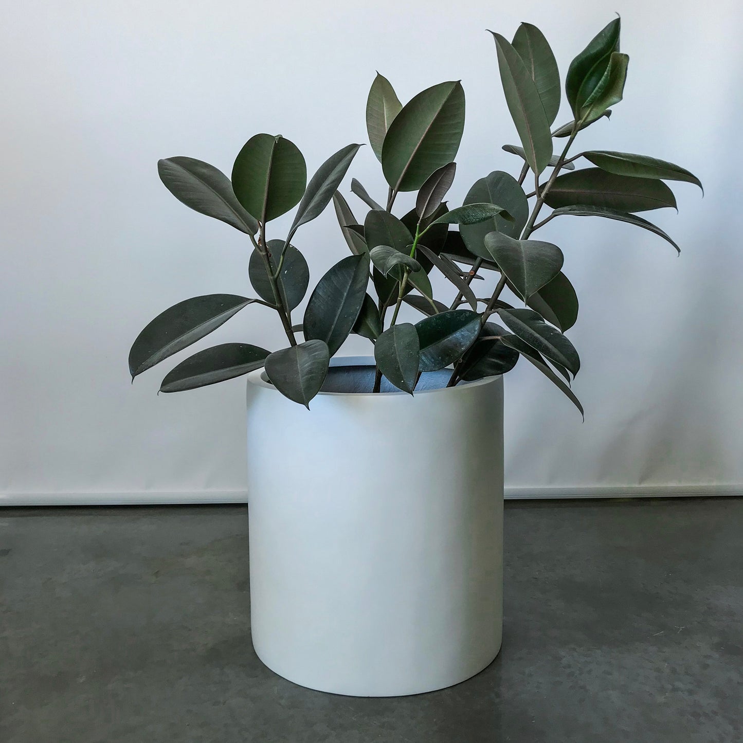 white plant pots indoor
