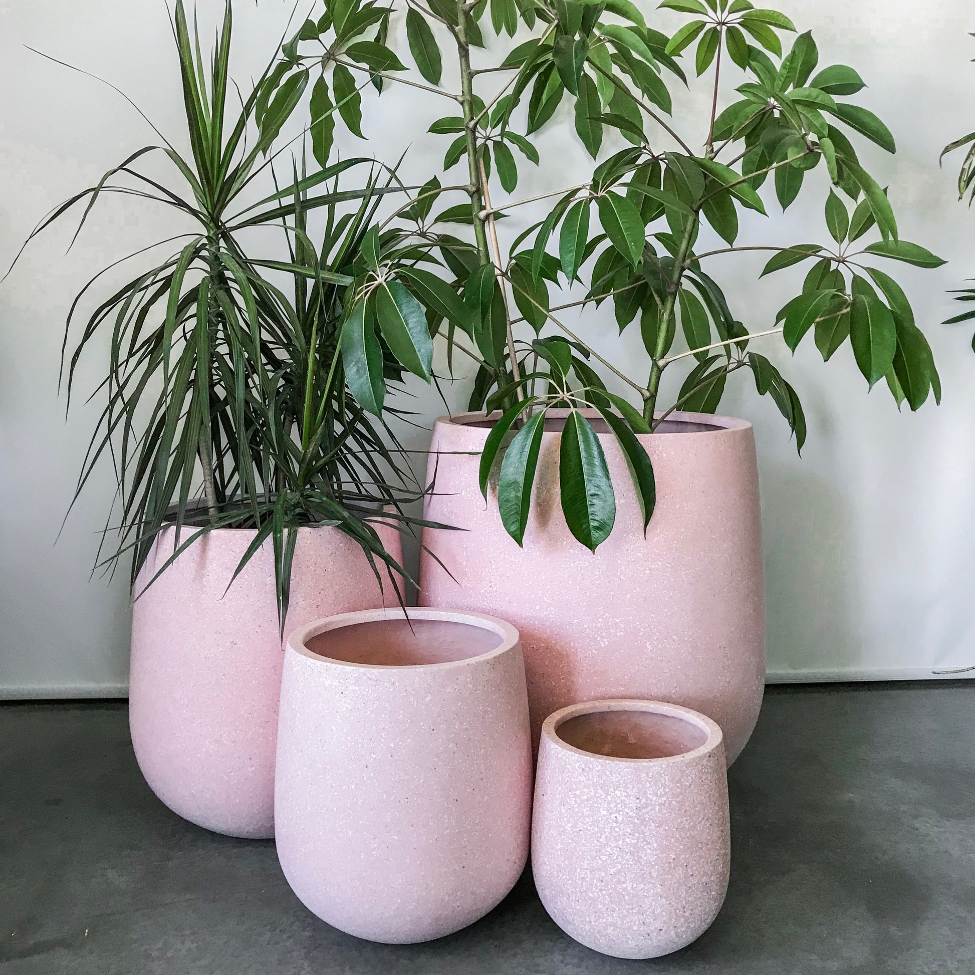 pink pots, extra large pots for outdoors
