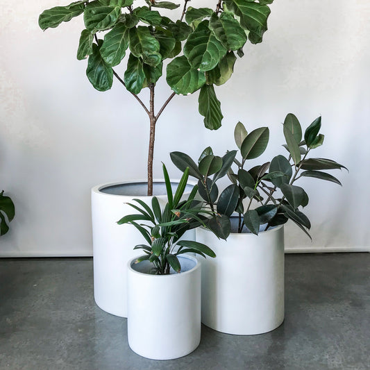 white pot plant, white plant pot
